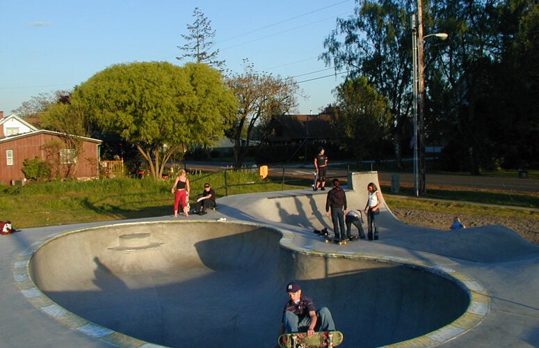 Donald Skatepark Skatedex