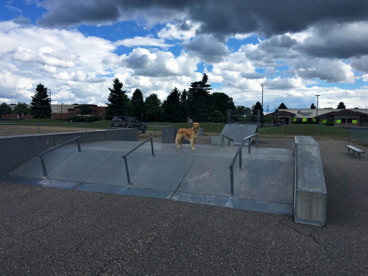 Stillwater Skatepark Skatedex