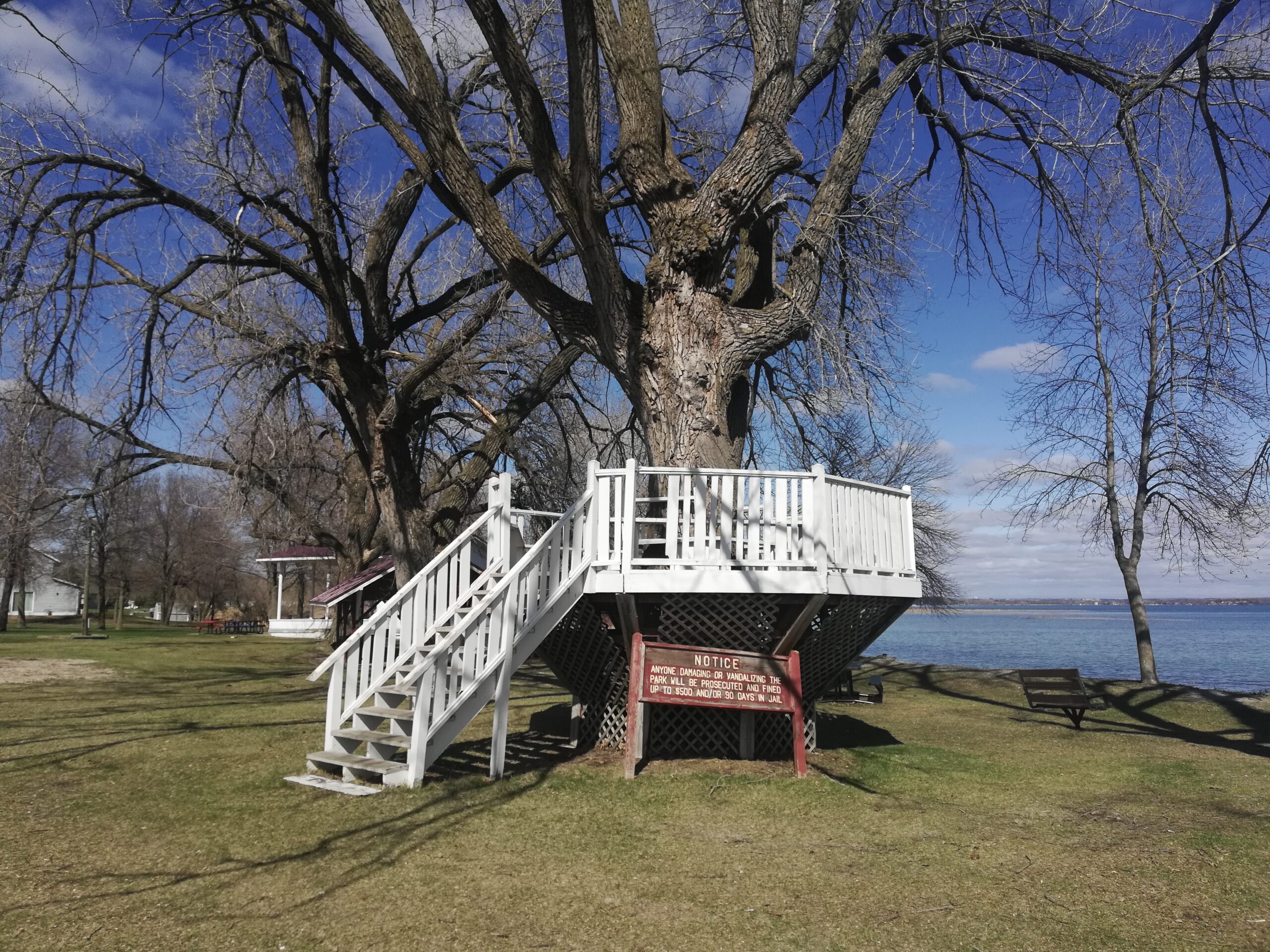 Starbuck Skatepark Skatedex