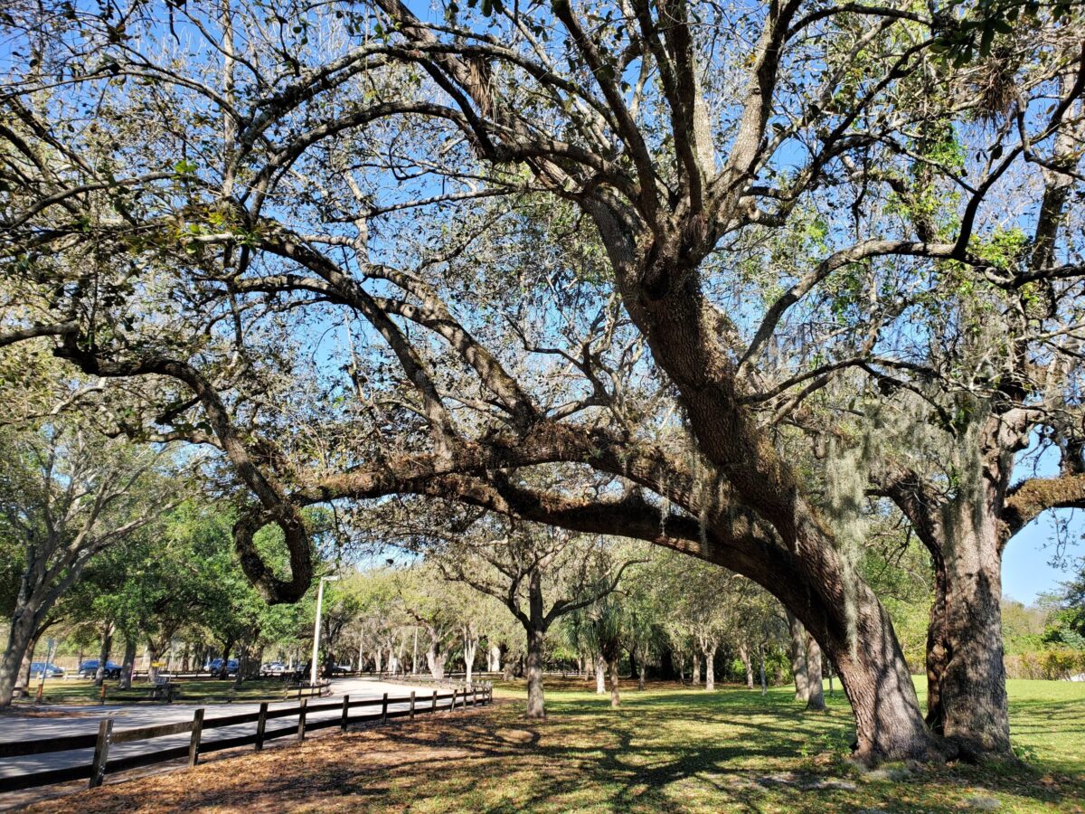 Kendall Indian Hammocks Skatepark Skatedex