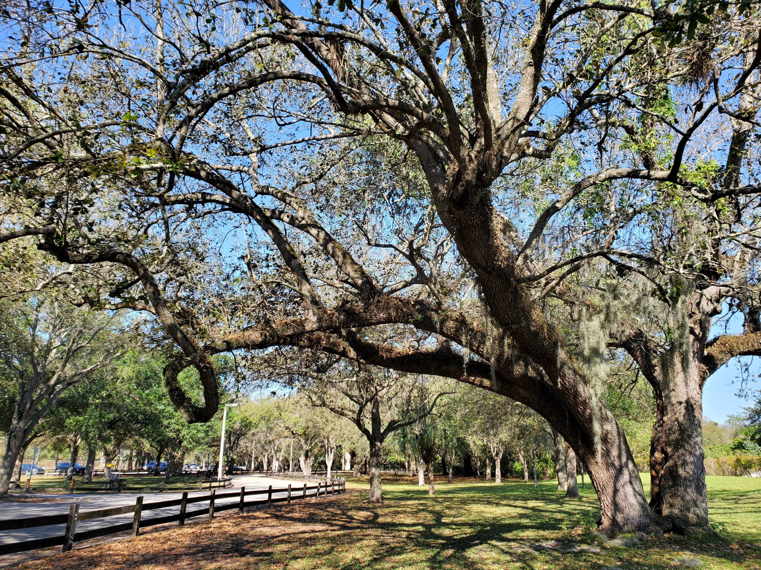 Kendall Indian Hammocks Skatepark Skatedex