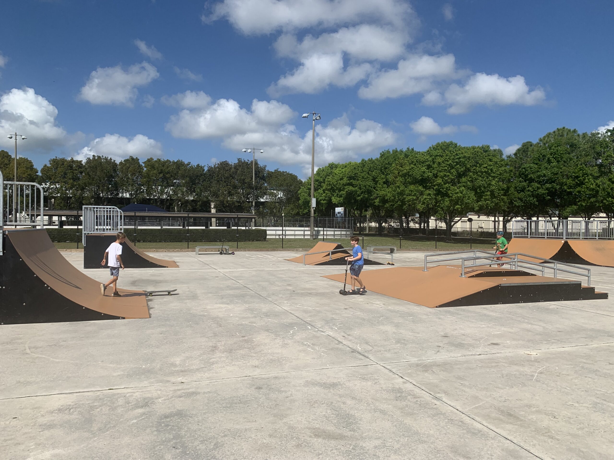 Wellington Skatepark Skatedex