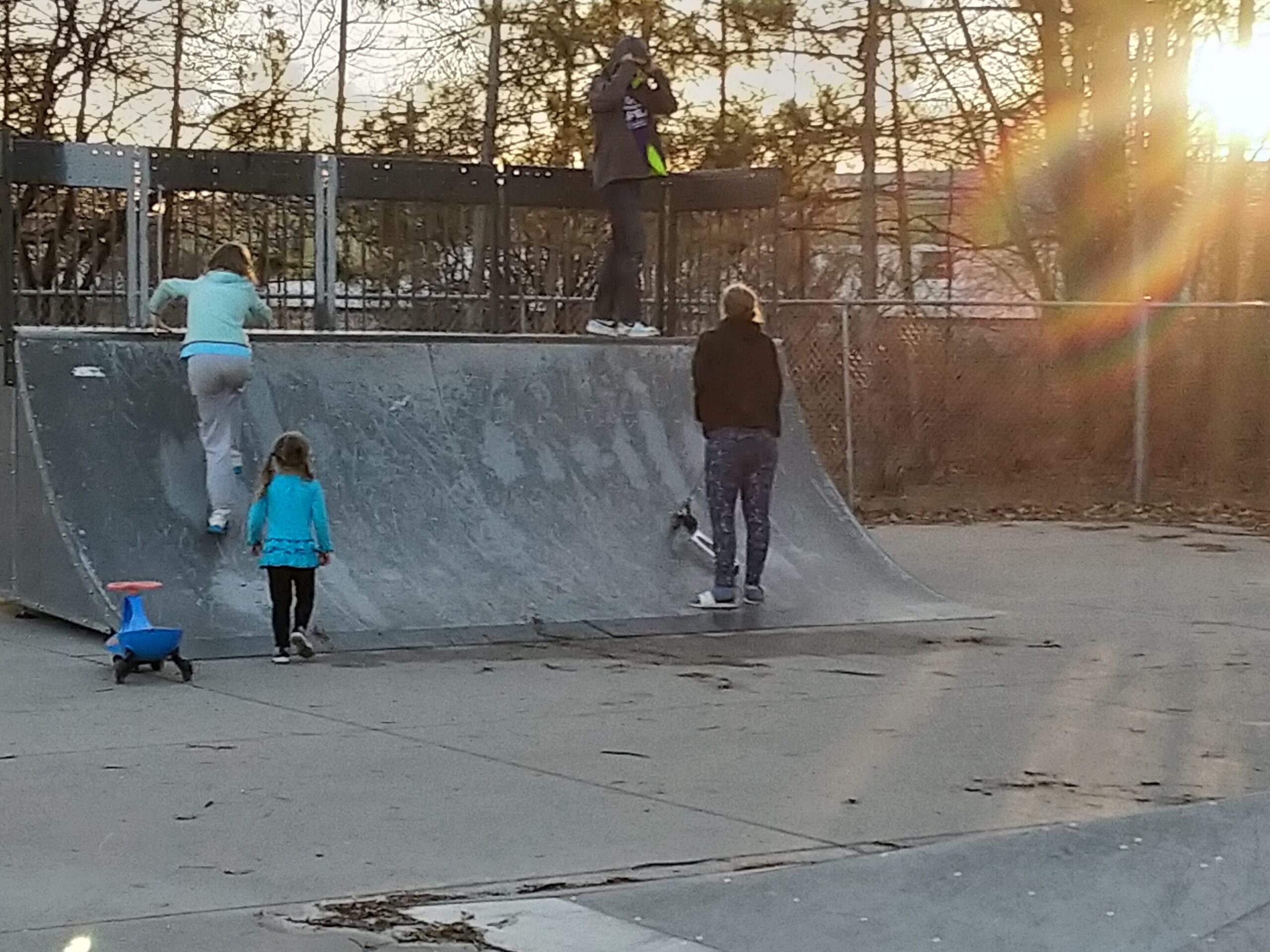 Jackson Wheel Skatepark Skatedex